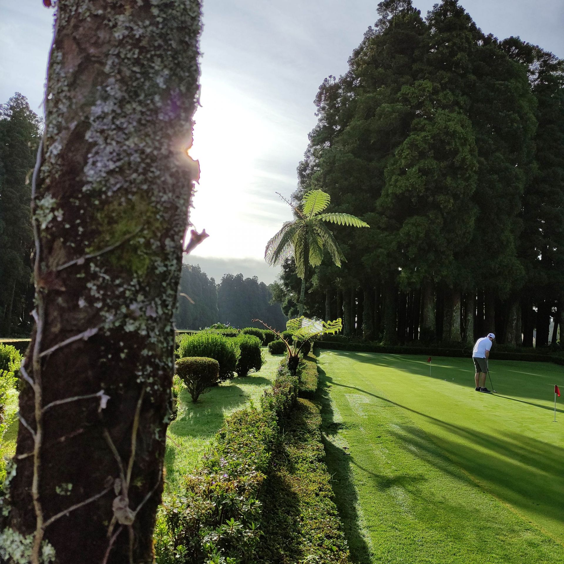 Furnas Golf Course